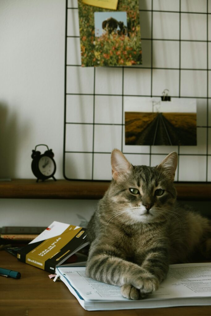 Pet Essentials